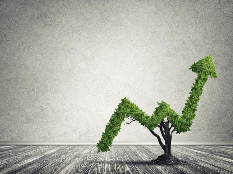 Finanza sostenibile: Reputazione o business?