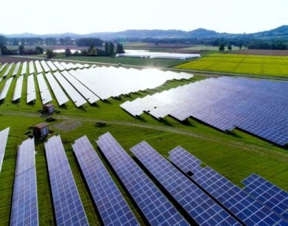 Agrivoltaico con minori vincoli del fotovoltaico: la conferma della giustizia amministrativa