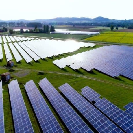 Agrivoltaico con minori vincoli del fotovoltaico: la conferma della giustizia amministrativa