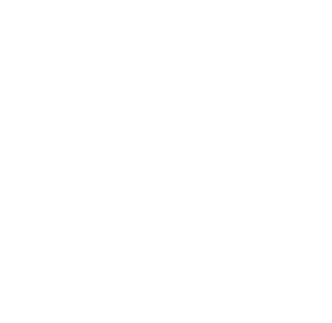 logo paradigma bianco