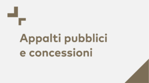 Appalti pubblici e concessioni